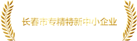 獎(jiǎng)項(xiàng)